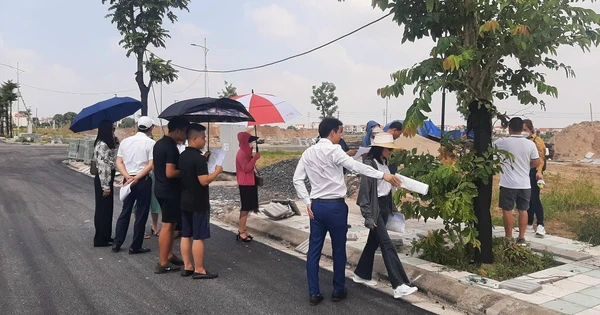 dat nen phu quoc 2025